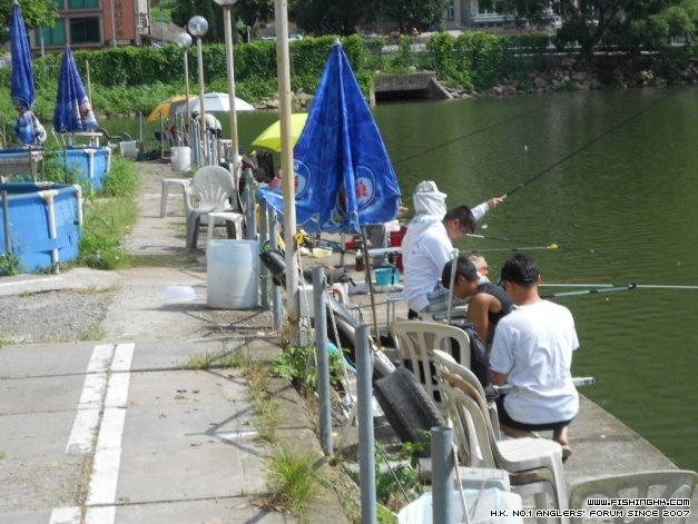 DSCN1184.JPG