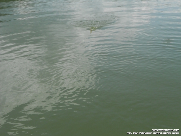 DSCN1201.JPG