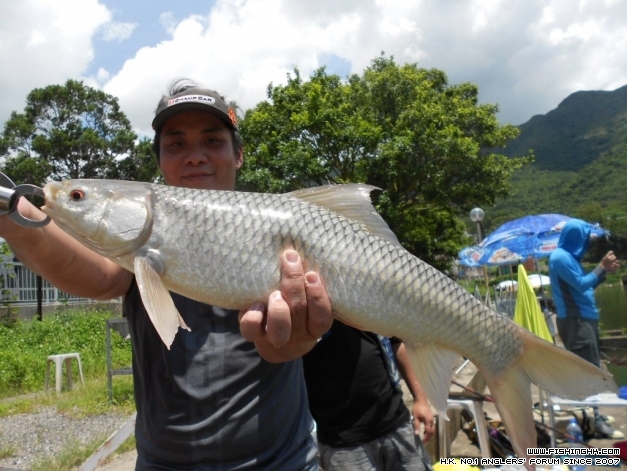 DSCN1206.JPG