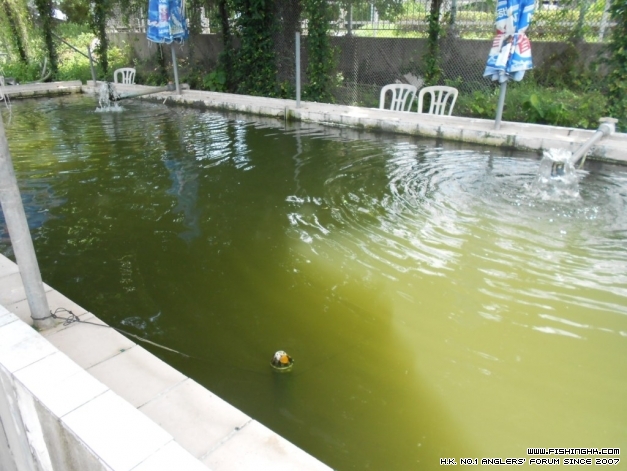 DSCN1217.JPG