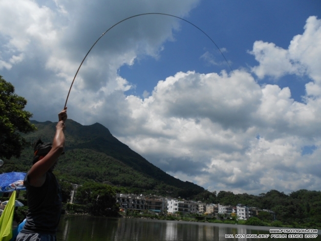 DSCN1231.JPG