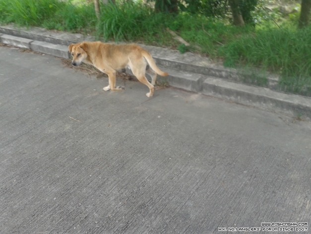 20140601_084440.jpg