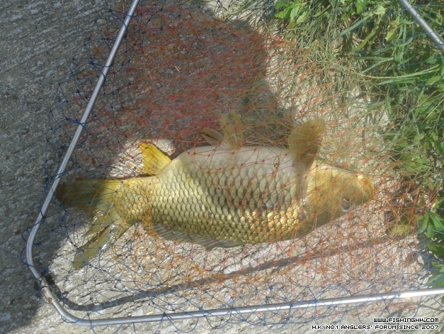 20140601_104933.jpg