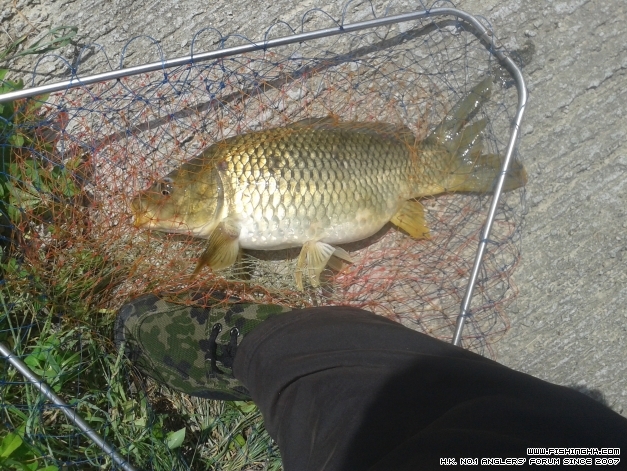 20140601_104942.jpg