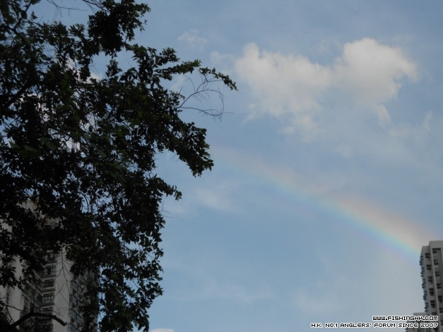 DSCN1267.JPG