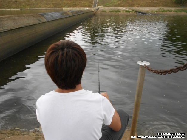 DSCN1271.JPG