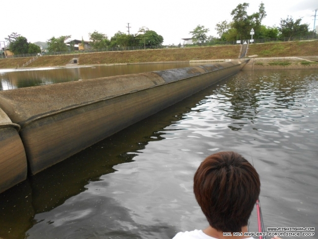 DSCN1272.JPG