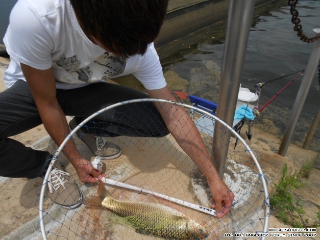 DSCN1275.JPG
