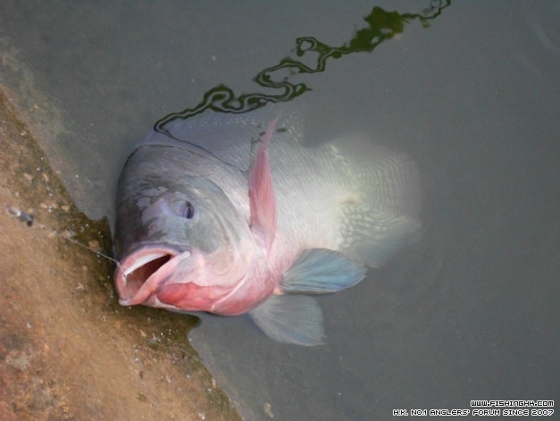 DSCN1295.JPG