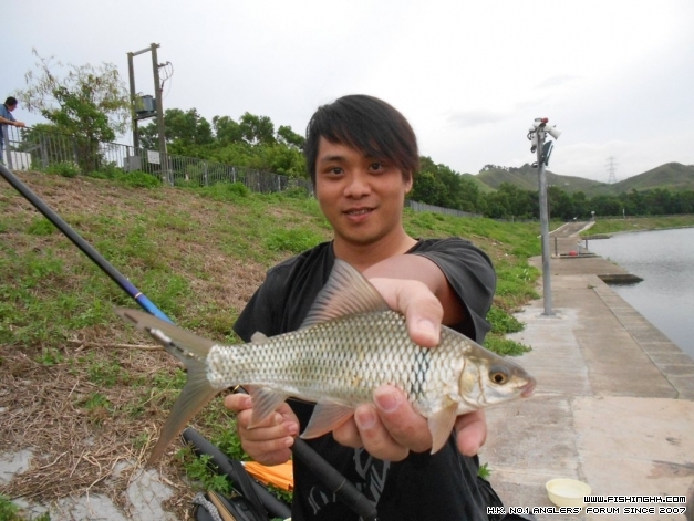DSCN1307.JPG