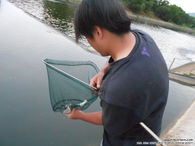 DSCN1311.JPG