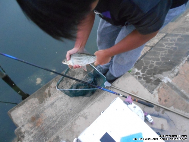 DSCN1313.JPG