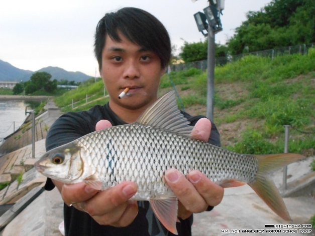 DSCN1314.JPG