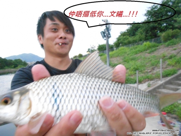 DSCN1315 - 複製.JPG