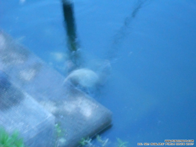 DSCN1316.JPG