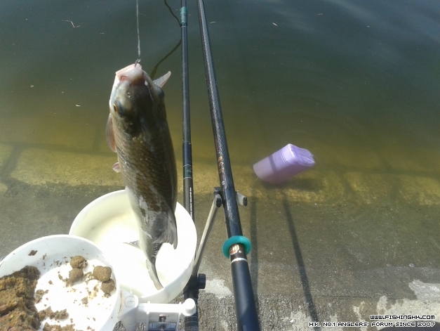 20140614_100503.jpg