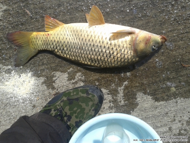 20140614_101300.jpg