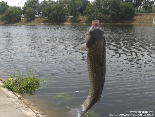 20140614_114028.jpg