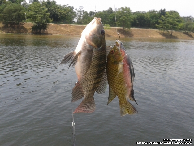 20140614_115453.jpg