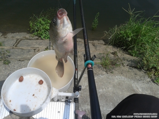 20140614_133543.jpg