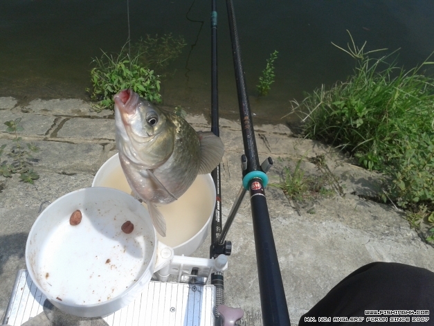 20140614_133548.jpg