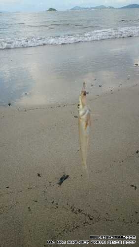 IMG-20140705-WA0000.jpg