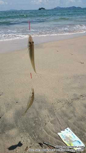 IMG-20140705-WA0005.jpg