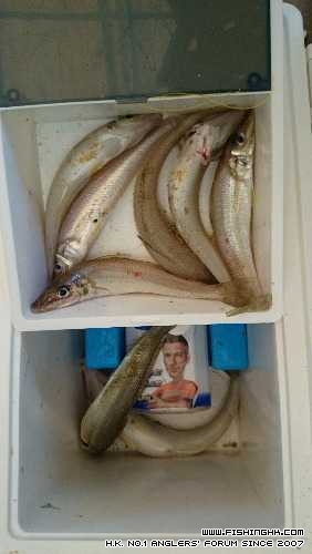 IMG-20140705-WA0001.jpg