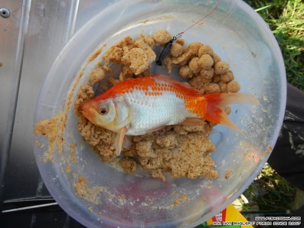 DSCN0463.JPG