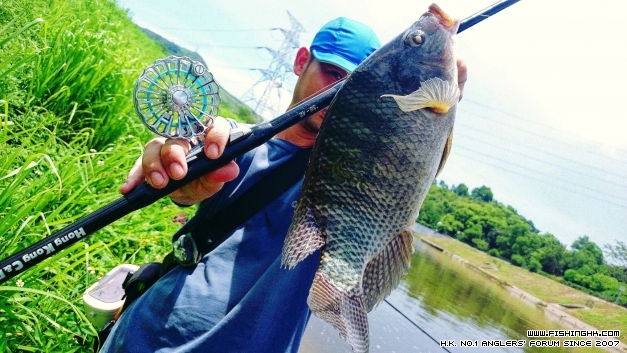 2014-07-13 12.49.48.jpg