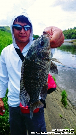 2014-07-13 13.36.11.jpg