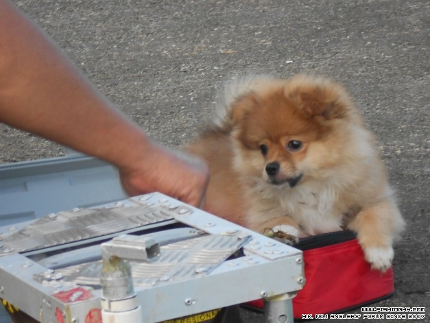 DSCN0642.jpg