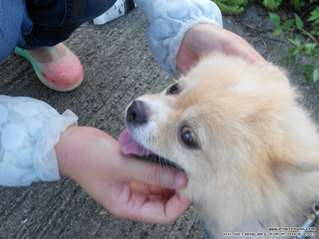 DSCN0653.jpg