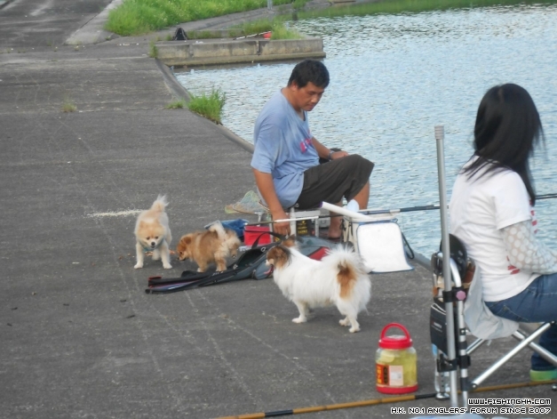 DSCN0661.jpg