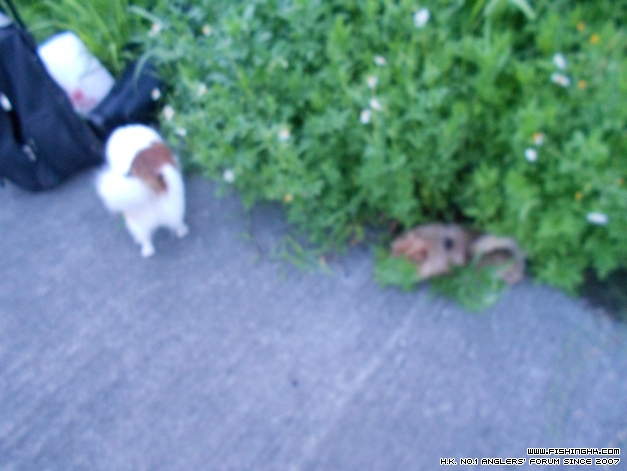 DSCN0666.jpg