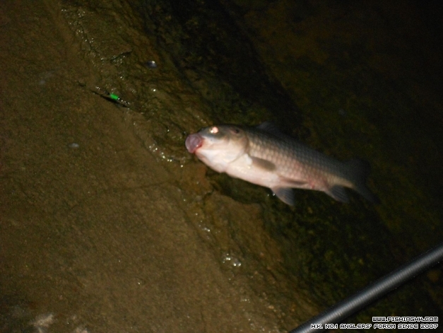 DSCN0668.jpg