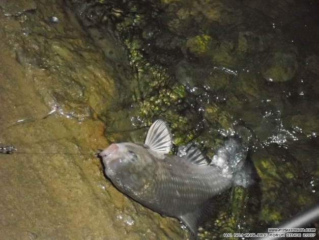 DSCN0671.jpg