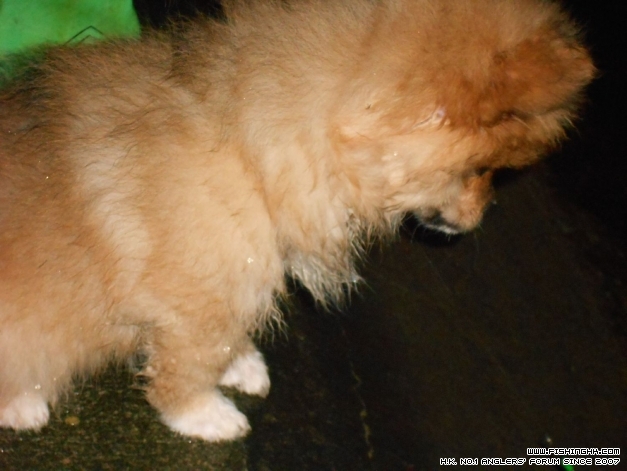 DSCN0672.jpg