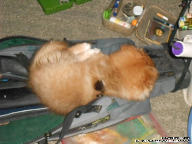 DSCN0684.jpg