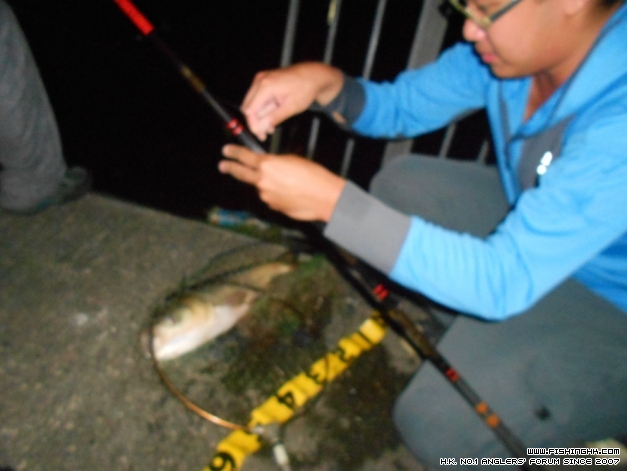 DSCN0685.jpg