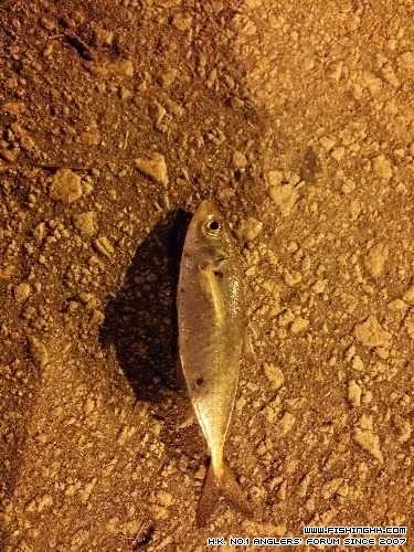 IMG_20140822_232610.jpg