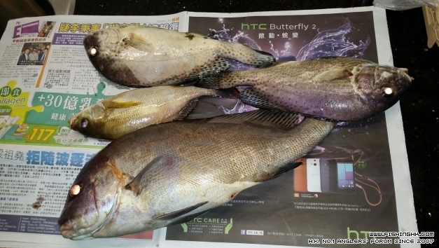 20140914_040030.jpg