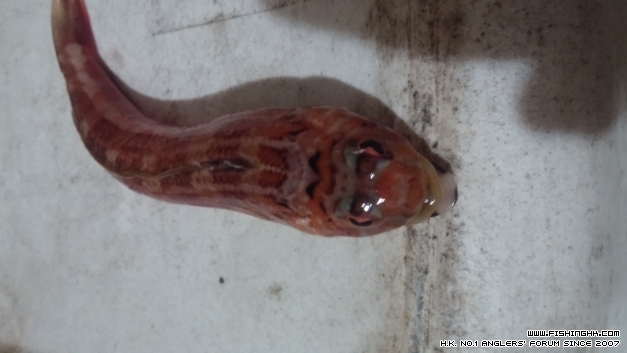 20140914_215305.jpg