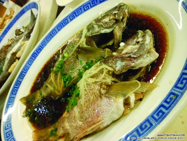 DSCN1841.JPG