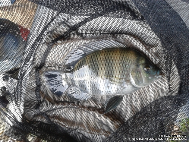 20140924_084942.jpg