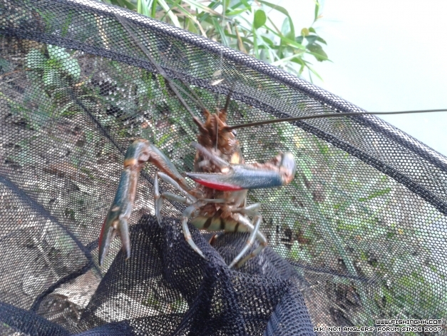 20140924_123227.jpg