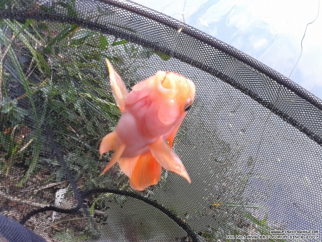 20140924_141627.jpg