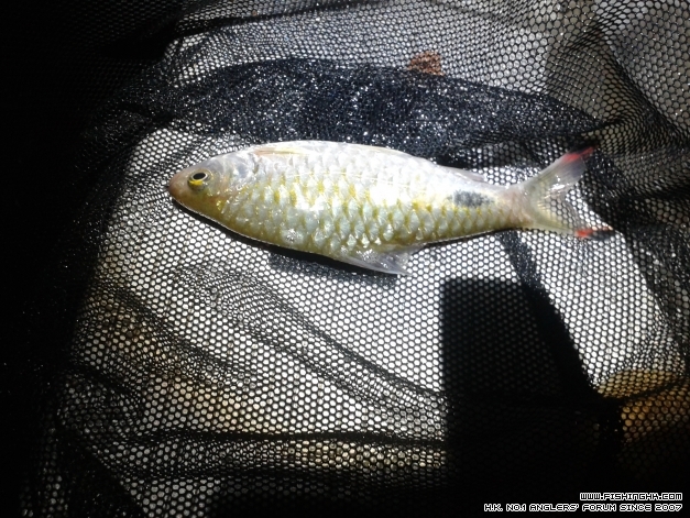 20140924_184107.jpg