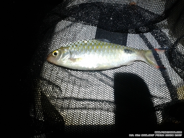 20140924_184121.jpg