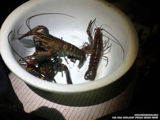20140924_195608.jpg
